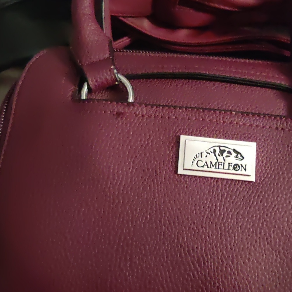 Concealed carry purse